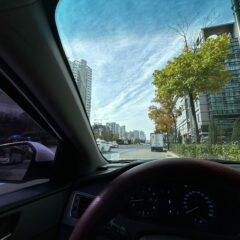 울산 주차장 극복했어요