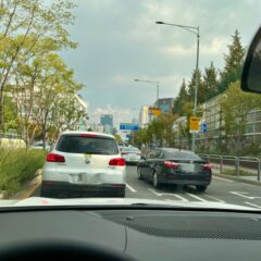울산 도로 운전 너무 무서웠어요