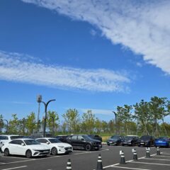 울산 브레이크 타이밍 완전 어려웠어요