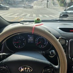 울산 도로 연습 너무 힘들었어요