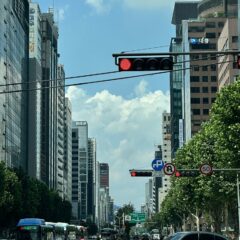 울산 주차 실수 많았어요