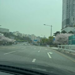 운동하려면 차로 가야 해요