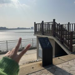 울산 바람 강한 날 운전도 어려웠어요